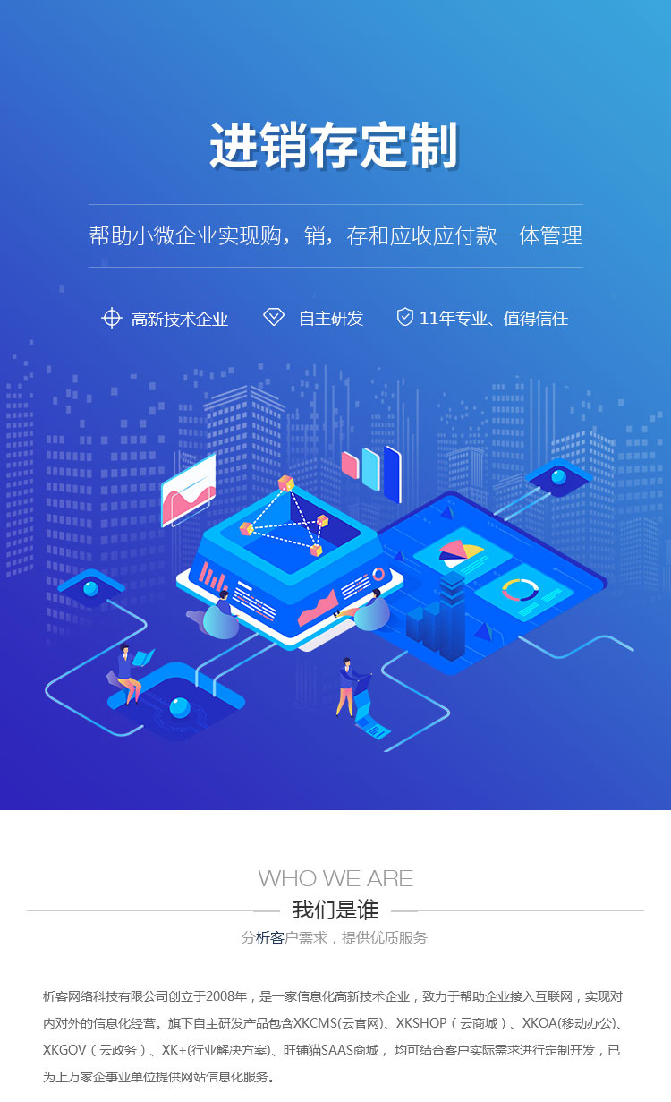 定制化进销存系统：企业运营的秘密武器
